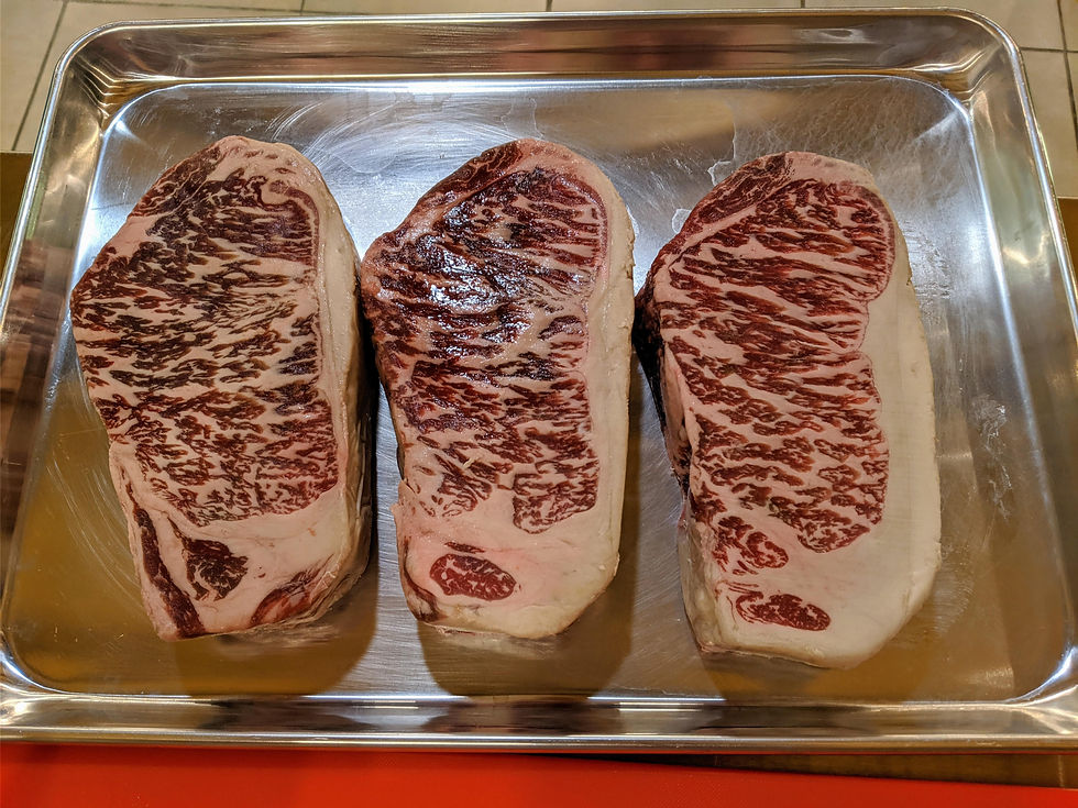 Blog 1: Meat Research