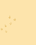 sterne bg.png