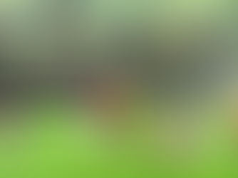 U-21: Under 21 Championship