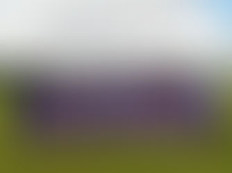 Minor: Maryland/Tang Minors 2012