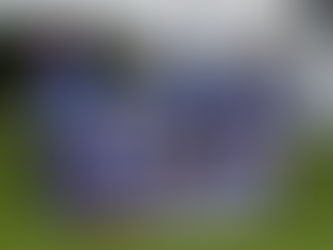 Minor: Club News