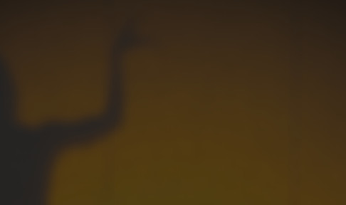 Shadow Show_edited.jpg