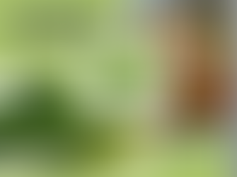 Your Endothelium is Important to You – Read How to Take Care of It, and Why No Oils!