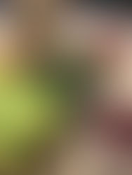 Hearty Tomato – Bean Sauce with Portabellos is Delicious on a Variety of Pastas