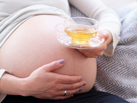 Grávida pode tomar chás e quais chás a grávida pode tomar? 