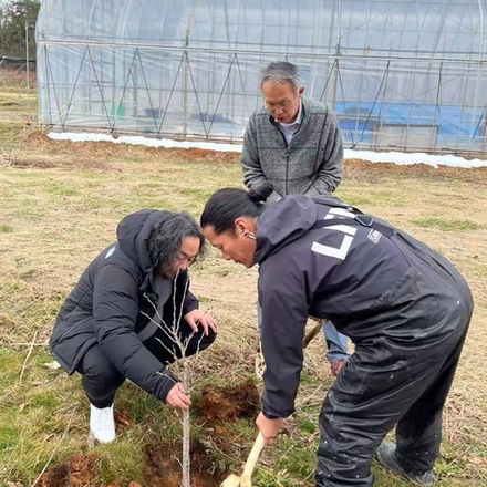 能登(石川県)へ福島の桜を寄贈