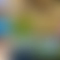 2025年(令和6年度)重慶日本国総領事館 成都新年祝賀レセプションで日本産花き展示しました。