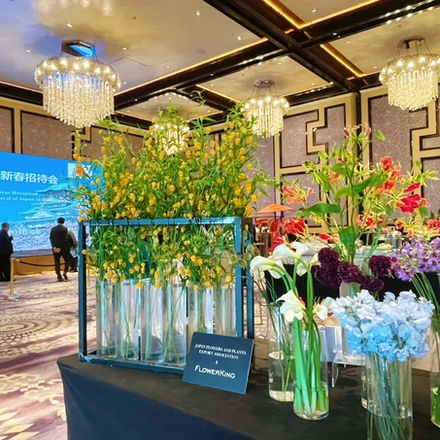 2025年(令和6年度)重慶日本国総領事館 成都新年祝賀レセプションで日本産花き展示しました。