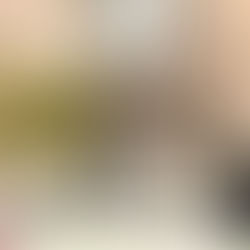 2025年(令和6年度)大連日本国領事館 天皇誕生日祝賀レセプションで桜とサンダーソニアを展示しました。