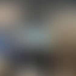 大連で桜PRイベント開催