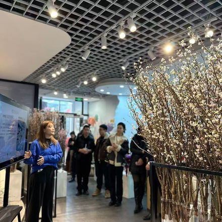 大連で桜PRイベント開催