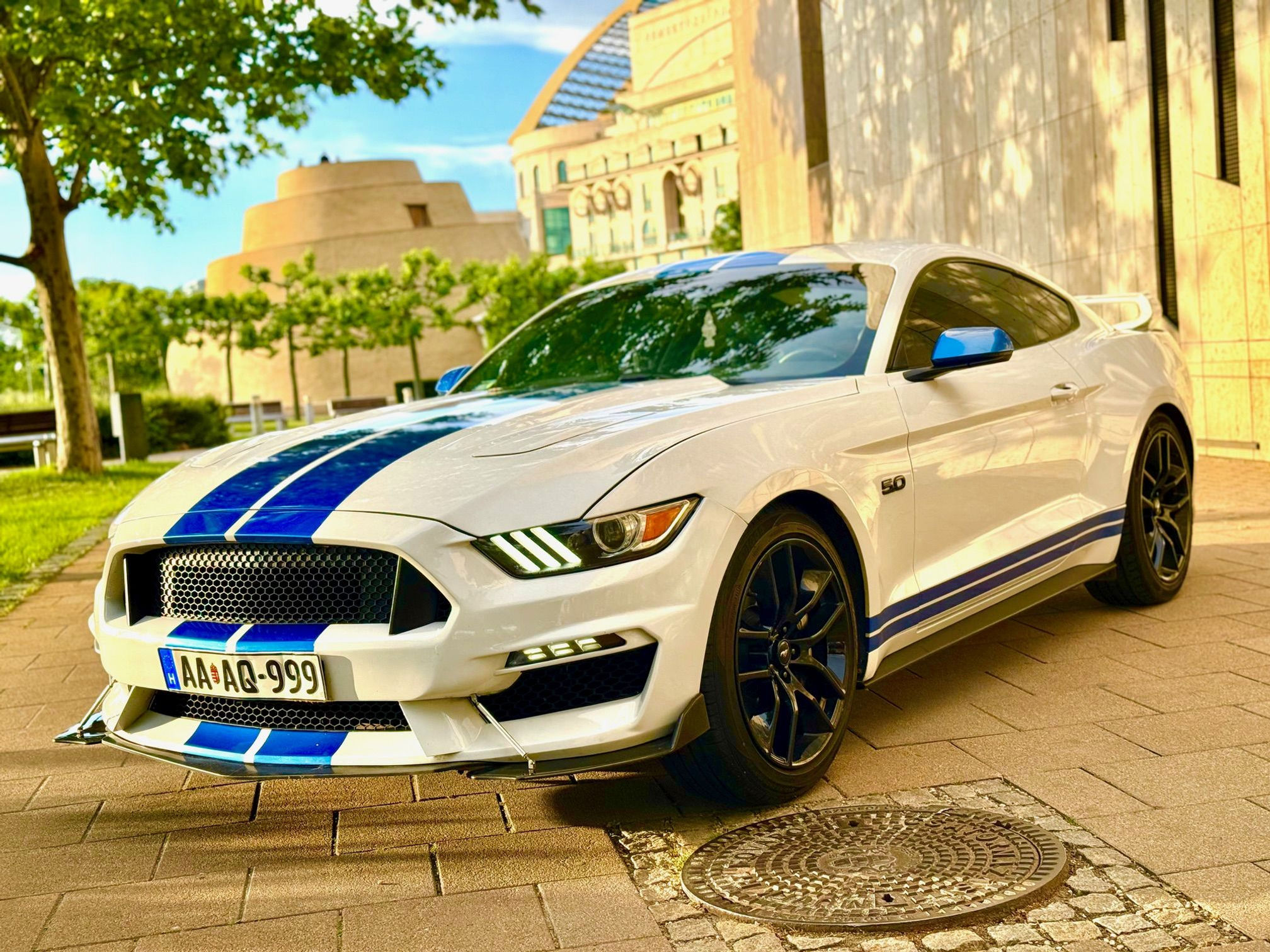FORD Mustang 5.0 Ti-Vct V8 Gt 500Le