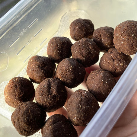 Chocolate & Gingerbread Protein Bites