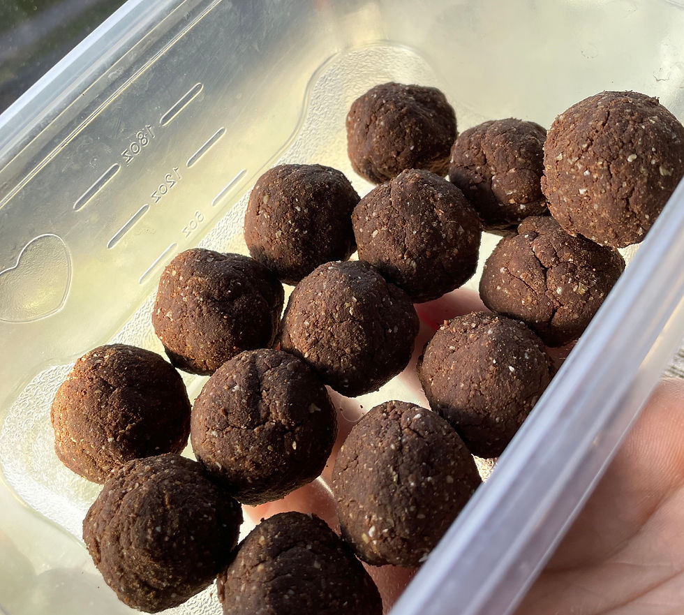 Chocolate & Gingerbread Protein Bites