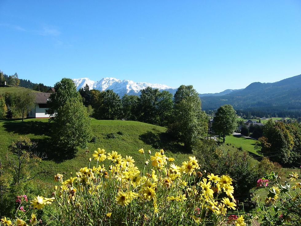 Ausblick vom ersten Stock