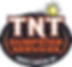 TNT Dumpsters logo CARDS (002).jpg