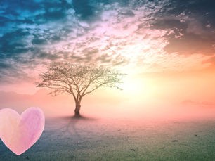 Your Body Speaks – Understanding the Messages Behind Physical Symptoms