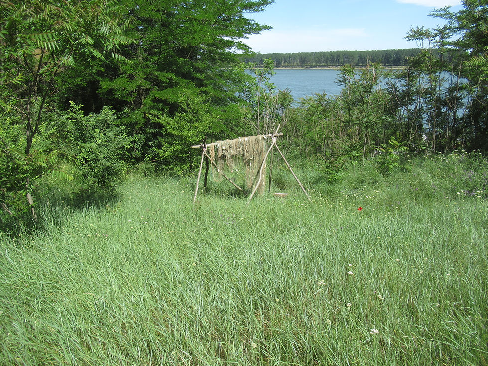 Wooden drying rack with nets in a grassy lakeside clearing, surrounded by trees under a bright blue sky.
The new golden jackals research camp takes shape on the Bulgarian bank of the river Danube