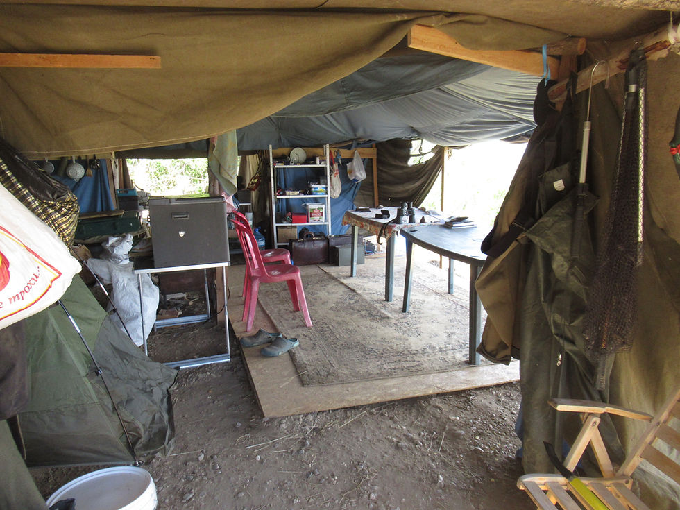 Tarp-covered campsite interior with tables, pink chair, shelves, hanging clothes, and gear on a dirt floor. The new golden jackals research camp takes shape on the Bulgarian bank of the river Danube