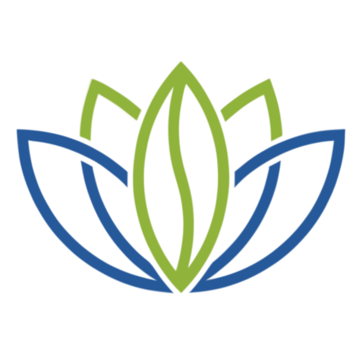 Yazarın fotoğrafı: Sante Park