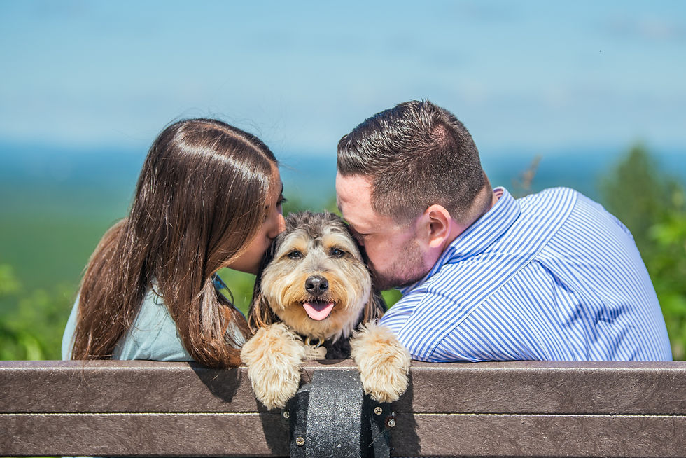Engagement Portraits Mount Agamenticus Maine with dog