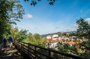 SAINT ETIENNE_Boucle Verte_passerelle_MC_0919 (16).jpg