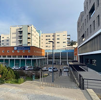 photo 1.jpg