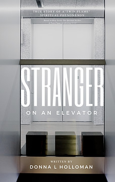 COVER Stranger on an Elevator by Donna L