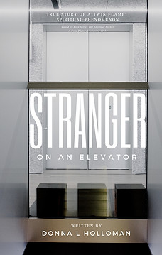 COVER Stranger on an Elevator by Donna L