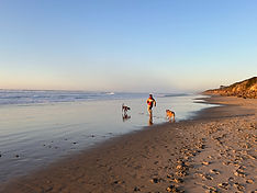 IMG_1878_edited.jpg