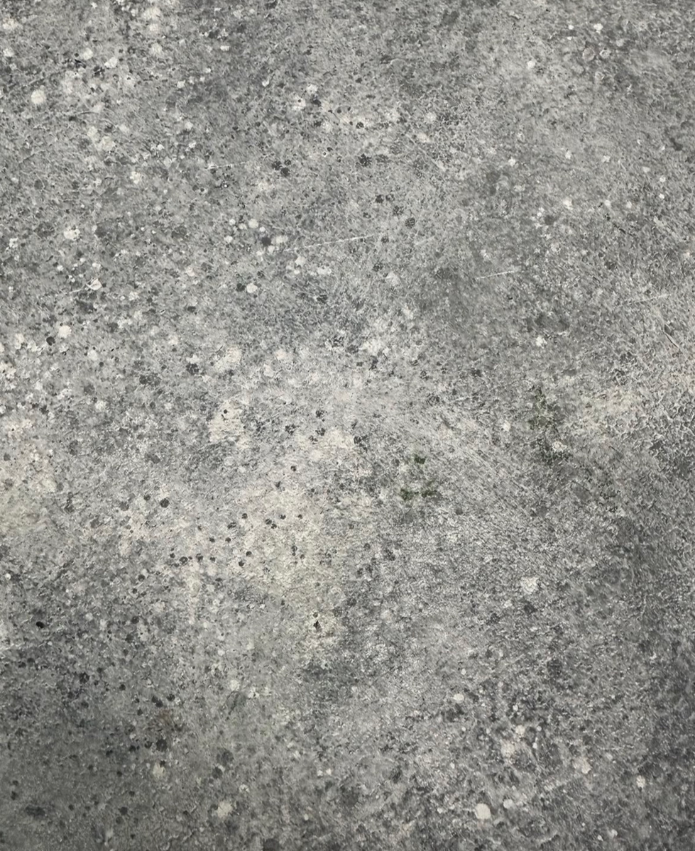 IMG_0136.PNG
