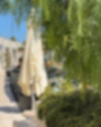 Trattoria del porto a Cala del forte Ventimiglia piatti tipici locali pasta e ravioli fatti a mano
