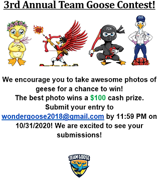Goose contest.png