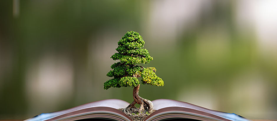 10 unforgettable lessons for professional growth