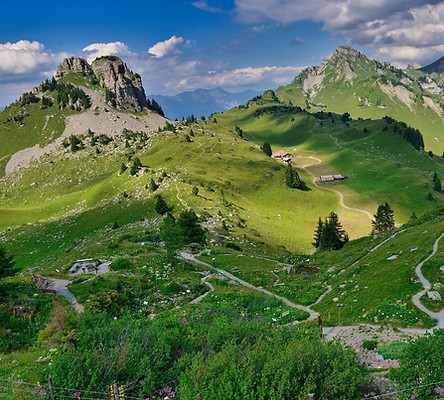 Randonné en montagne