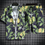 Thumbnail: QUALITY Beach Clothes For Men 2 Piece Set QuickHawaiian Shirt and Shorts Set Men