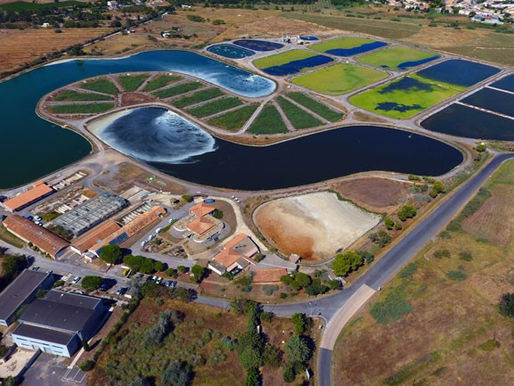 À Mèze, un laboratoire grandeur nature pour les technologies de l’eau