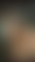 The Star Horses of Corolla | $22.99 USD