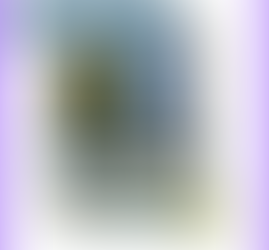 Bookbinding Online Self-paced Workshop | $30 USD