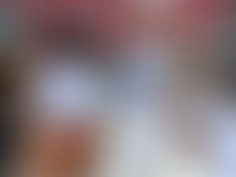 Avanza campaña de ciudad de mascotas en Centro.