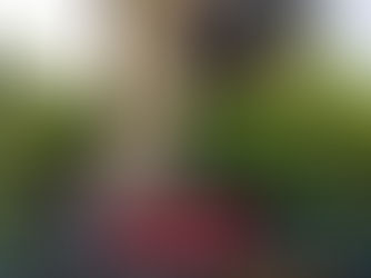 Descubren en Colombia el mayor fósil del ave del terror.