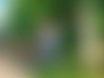 Efectuán cuadrillas de espacios públicos, desmorre, riego y recolección de residuos.