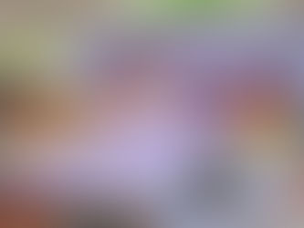 Merca Móvil Centro en el parque La Choca: un espacio de creatividad, música y convivencia. 