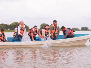 Fortalece Yolanda Osuna la pesca en sistema lagunar de Ra. Matillas con siembra de 200 mil crías de tilapia