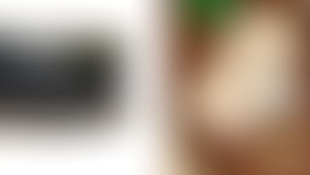 מתנה לטבעונים! מתנה לאהובה, לאמא או לחברה | אדון קרלוס 