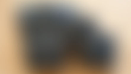 לא יאומן! האופנה הכי שווה שיש היום היא דווקא טבעונית | ארנקים טבעוניים 