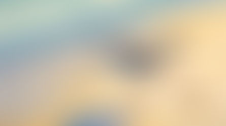 EL NIÑO TEJÓN - CAPÍTULO 3 - EL PAJARO BLANCO