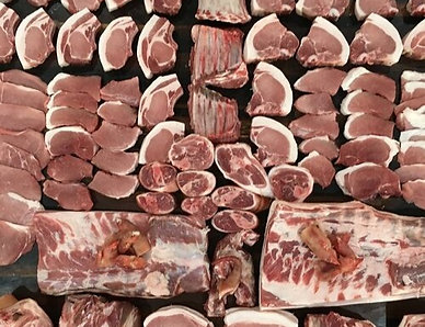 Idaho Pasture Pig