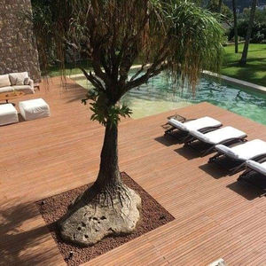 Beleza natural com requinte contemporâneo.