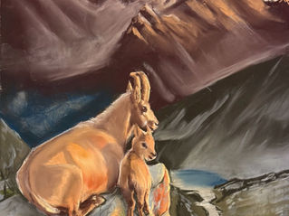 Sonderausstellung 2026/27 -                                                                                                                                                Im Tal der stillen Farben
